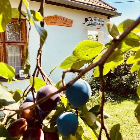 Ubytovanie U Aranky Cierna nad Tisou Εξωτερικό φωτογραφία