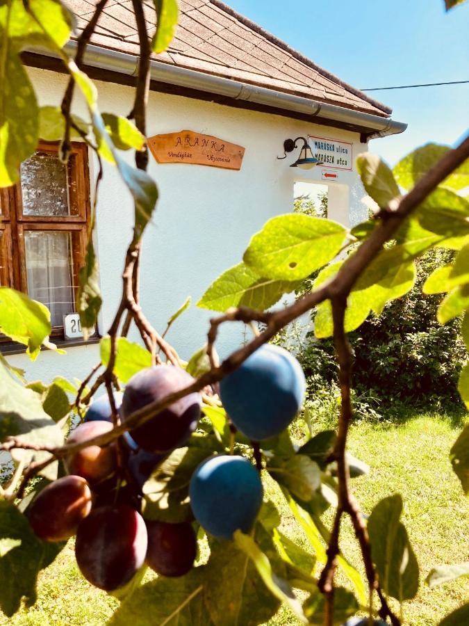 Ubytovanie U Aranky Cierna nad Tisou Εξωτερικό φωτογραφία